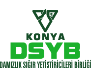 DSYB Logo